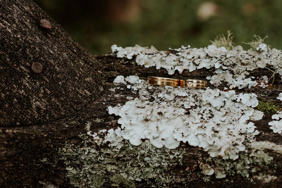 Wedding rings macro shot